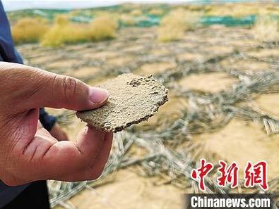 生物礦化固沙技術(shù)在國(guó)內(nèi)..應(yīng)用